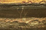 Polished Packsaddle Tiger Eye Slab - Western Australia #290956-1